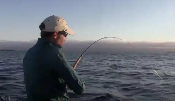 charter boat fishing