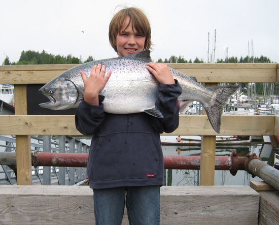 July 2008 Salmon and Halibut Photo Blog