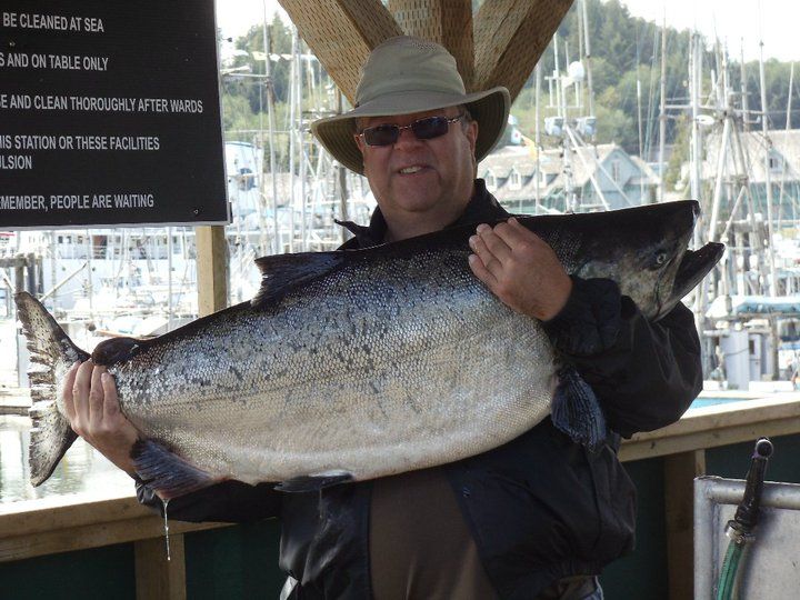 Updated Chinook and Coho forecast 2014