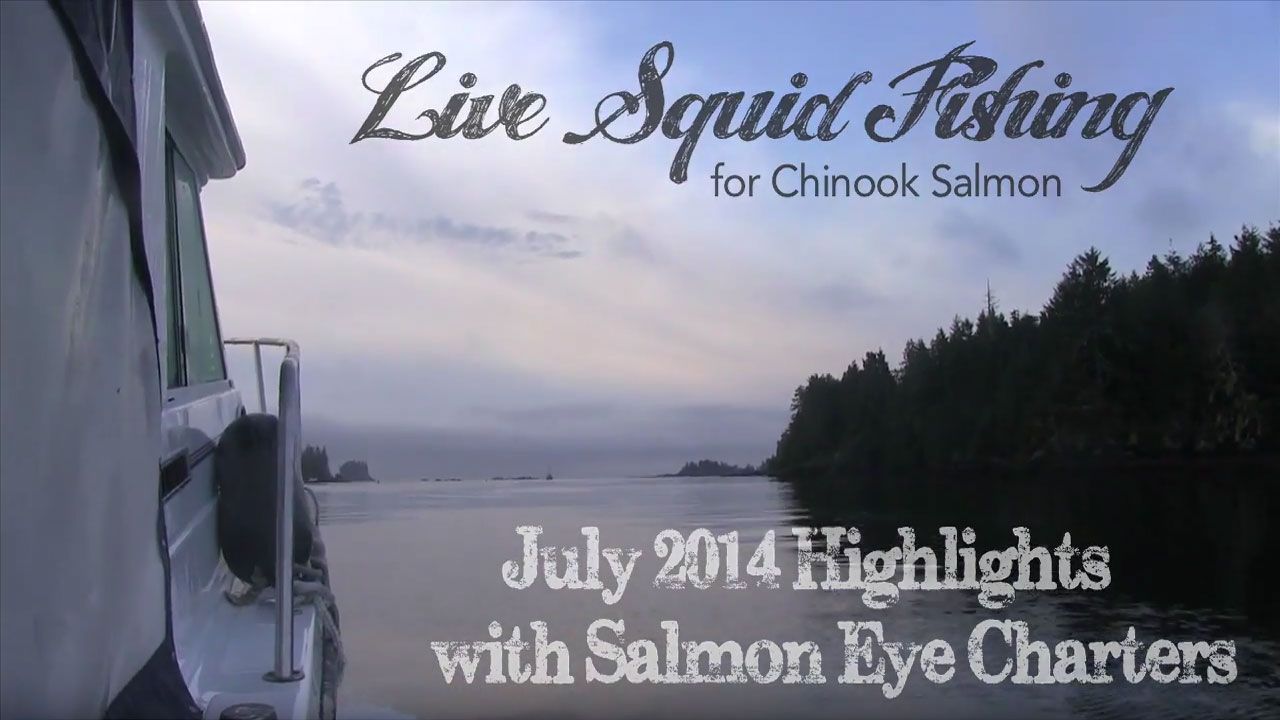 Fishing Live Squid for Chinook Salmon