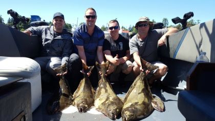 shark fishing charters