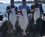 Fishing Report August 6, 2019 Ucluelet BC