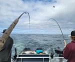 Fishing Recap 2022 Ucluelet BC – Vancouver Isalnd