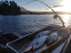 FISHING REPORT JULY 1, 2018 UCLUELET BC