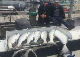 deep sea fishing charters