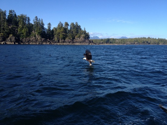 fishing areas Vancouver island