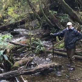 Counting returning salmon in river