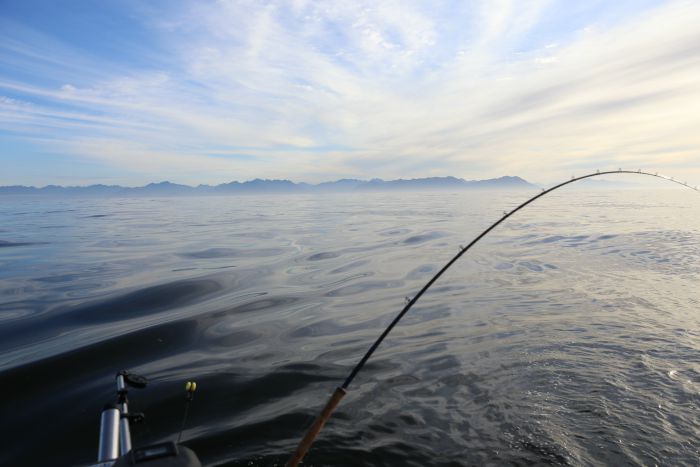 salmon fishing Vancouver island